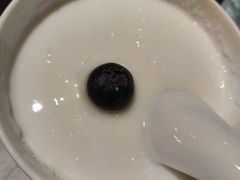 双皮奶-同庆楼(滨湖万达广场店)