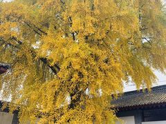 -八路军西安办事处纪念馆