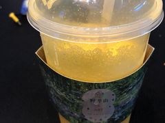 -野萃山·潮汕厚果汁(十亩地店)