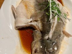 清蒸鲈鱼-周锦记广式餐厅
