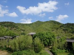 -大唐贡茶院