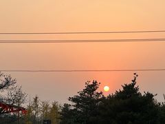 -尚庄度假村·庭台树下·户外烧烤·团建CS·轰趴营地(上庄水库店)