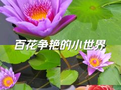 -北海公园
