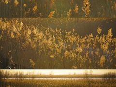 -野鸭湖国家湿地公园