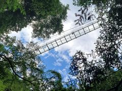 -藏龙百瀑风景区