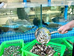 -富临港蒸汽海鲜(栈桥店)