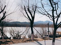 -永定河休闲森林公园