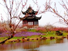 -上海海湾国家森林公园