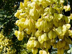 -艾溪湖湿地公园