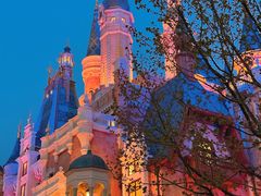 -上海迪士尼度假区