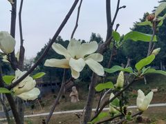 -东莞植物园