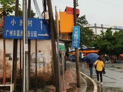 -小洲村