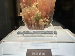 -安徽省地质博物馆