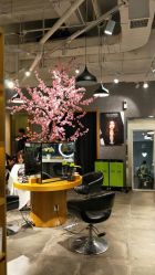 -时尚殿堂明星门店