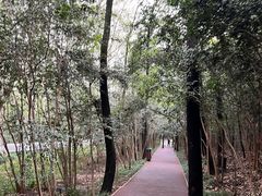 -WeLope紫金山探险公园