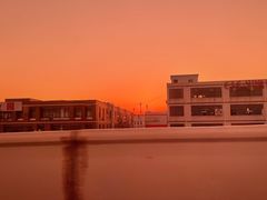 -蝎王府羊蝎子(嵩山南路店)