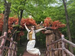 -吊水壶国家森林公园