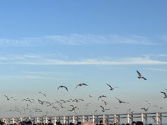 -星海广场