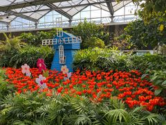 -南宫五洲植物乐园