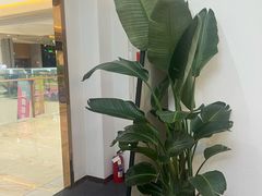 -筋骨堂热敷推拿按摩(招商花园城店)