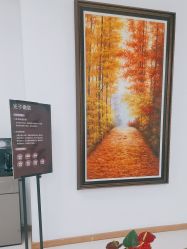 -薇兰专业脱毛连锁机构