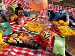 -大兴滨河森林公园