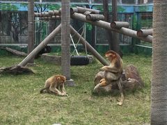 -西安秦岭野生动物园