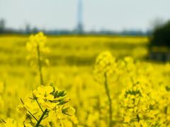 -中国天府农业博览园