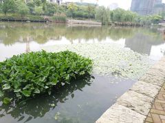 -映月湖中央公园