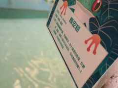 -龙脉温泉室内游泳馆