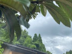-毛泽东同志旧居