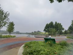 -东郊湿地公园