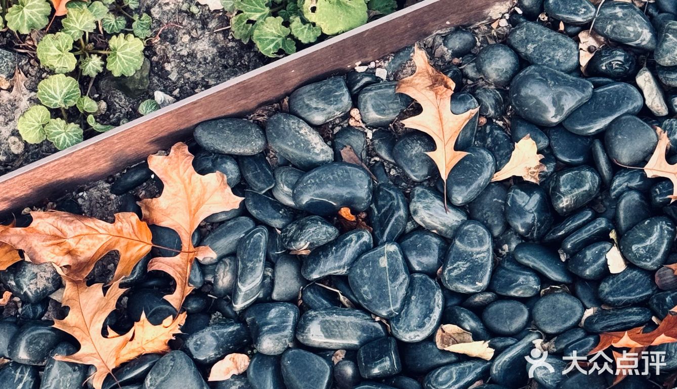 拾得一片秋天的味道🍂