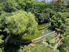 -上海瑞金洲际酒店