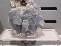 -中国地质博物馆