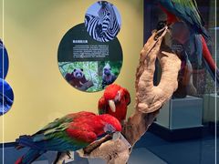 -国家自然博物馆