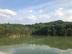 -阳台山森林公园