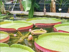 -国家植物园南园