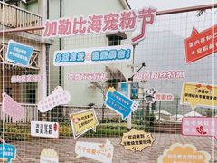 -重庆南山海昌汤都