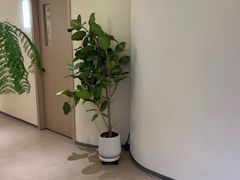 -艾耳堂·采耳头疗SPA(蟠龙天地店)