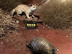 -陕西自然博物馆