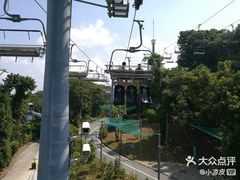 -圣淘沙天际线斜坡滑车