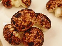 -民族饭店-四季餐厅