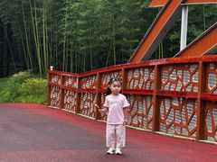 -黄海国家森林公园