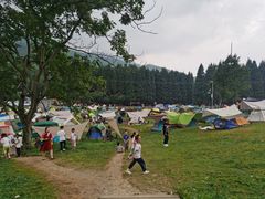 -武陵山森林公园