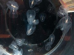 -鹿儿岛水族馆