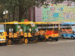 -上海海湾国家森林公园