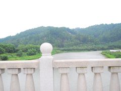 -大湾区中央湿地公园