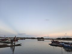 -大湾区中央湿地公园-十九涌