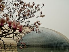-国家大剧院